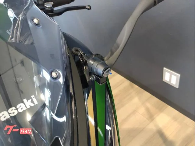 Kawasaki Ninja 1100 SX SE 2025 — миниатюра 5