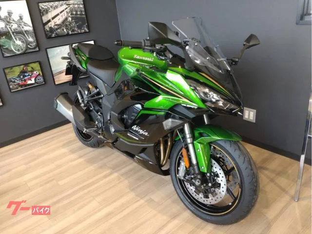 Kawasaki Ninja 1100 SX SE 2025 — фото 1, купить с доставкой в Москву