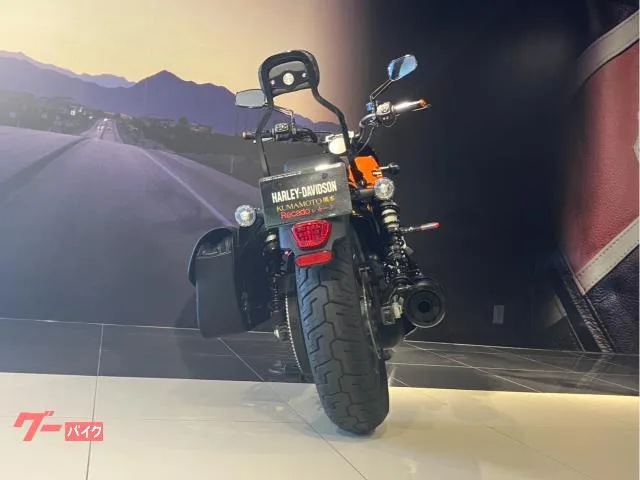 HARLEY-DAVIDSON RH975S 2024 — миниатюра 4