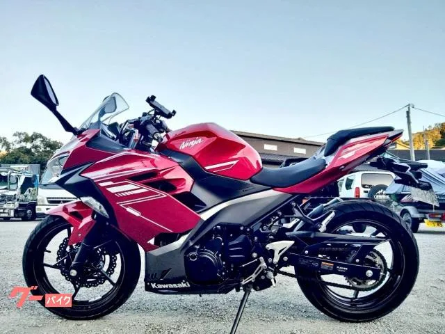 Kawasaki Ninja 250 2022 — миниатюра 2
