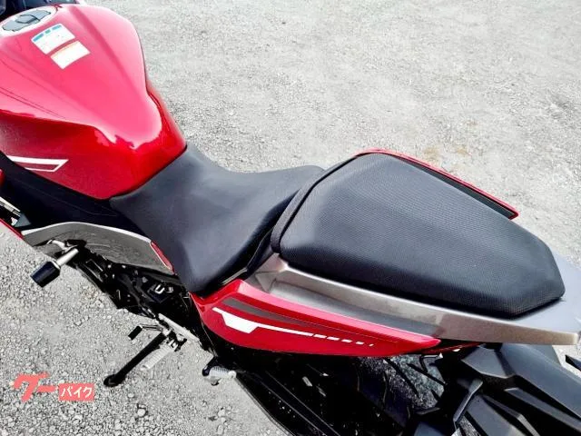 Kawasaki Ninja 250 2022 — миниатюра 3