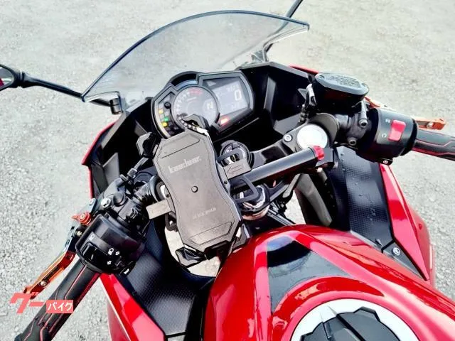 Kawasaki Ninja 250 2022 — миниатюра 5