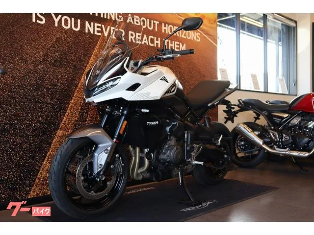 TRIUMPH 660 2025 — миниатюра 5