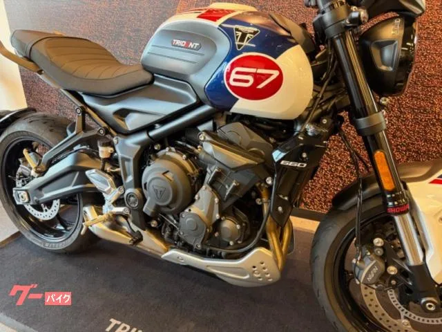 TRIUMPH 660 2024 — миниатюра 4