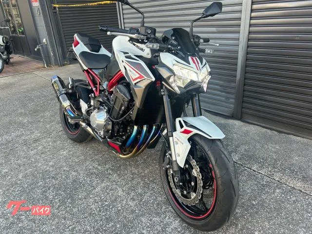 Kawasaki Z900 BEET USB 2023 — миниатюра 2