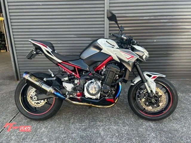 Kawasaki Z900 BEET USB 2023 — фото 1, купить с доставкой в Москву