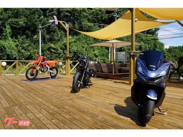 Honda CL250 2023 ETC1.0 2024 — миниатюра 4