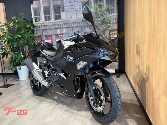 Kawasaki Ninja 500 2026 — миниатюра 5
