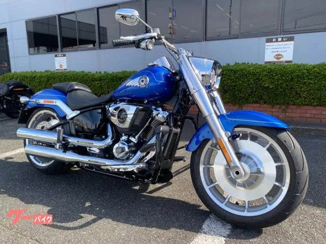 HARLEY-DAVIDSON FLFB 117 2025 — миниатюра 2