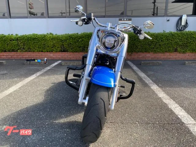HARLEY-DAVIDSON FLFB 117 2025 — миниатюра 5
