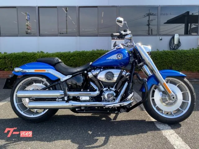 HARLEY-DAVIDSON FLFB 117 2025 — фото 1, купить с доставкой в Москву