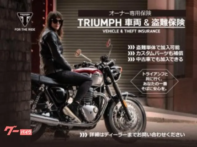 TRIUMPH 400 2024 — миниатюра 2
