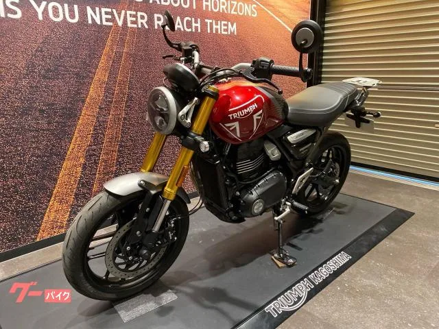 TRIUMPH 400 2024 — миниатюра 5