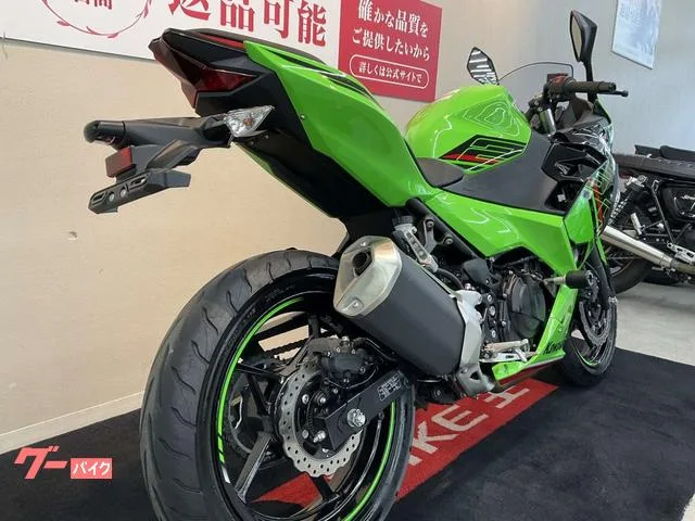 Kawasaki Ninja 250 2023 — миниатюра 5