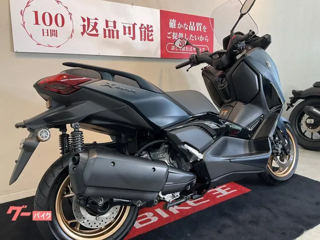 Yamaha X-MAX250 2023 — миниатюра 2