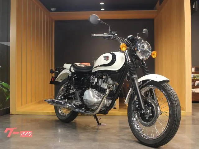 Kawasaki W230 ABS 2025 — фото 1, купить с доставкой в Москву