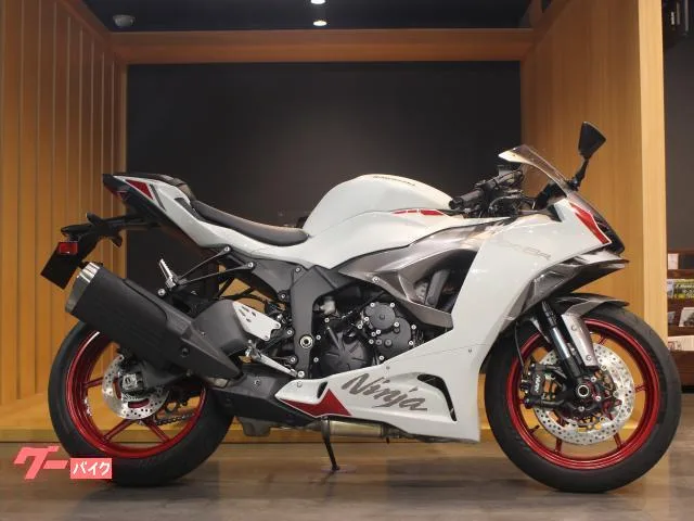 Kawasaki Ninja ZX-6R 2025 — миниатюра 5