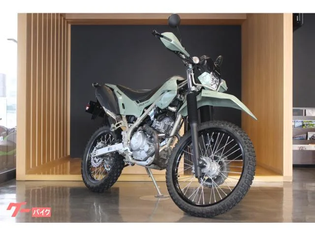 Kawasaki KLX230 2025 — фото 1, купить с доставкой в Москву