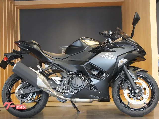 Kawasaki Ninja 500 2026 — миниатюра 3