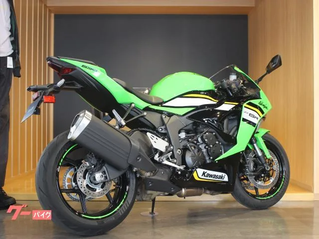Kawasaki Ninja ZX-6R KRT 2025 — миниатюра 4