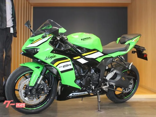 Kawasaki Ninja ZX-6R KRT 2025 — миниатюра 5