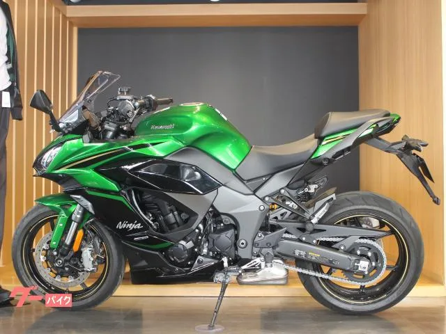 Kawasaki Ninja 1100 SX SE 2025 — миниатюра 3