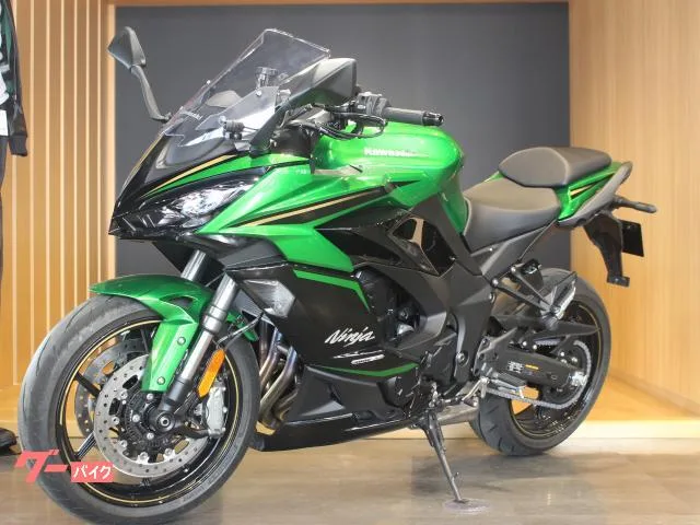 Kawasaki Ninja 1100 SX SE 2025 — миниатюра 5