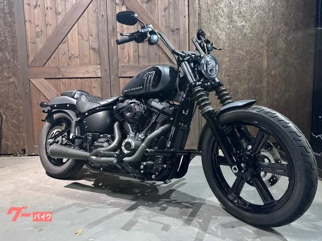 HARLEY-DAVIDSON FXBBS 114 SS 2022 — фото 1, купить с доставкой в Москву