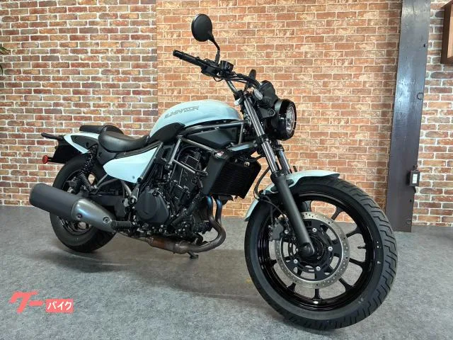 Kawasaki 400 ETC2.0 2025 — фото 1, купить с доставкой в Москву