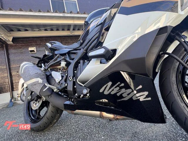 Kawasaki Ninja ZX-4R SE 2026 — миниатюра 5