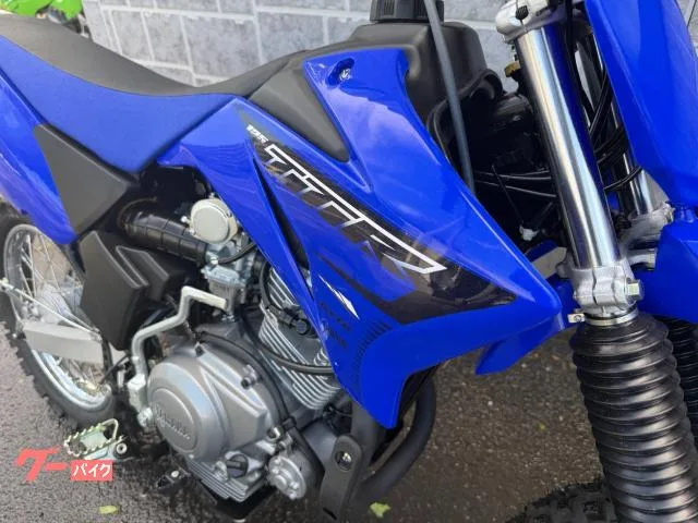 Yamaha TT-R125LWE 2023 — миниатюра 2