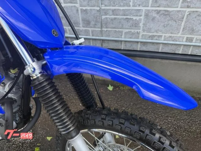 Yamaha TT-R125LWE 2023 — миниатюра 3