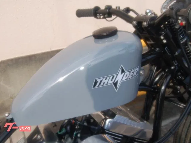 Thunder Motorcycles 250 THUNDER250 Hardtail 2023 — миниатюра 3