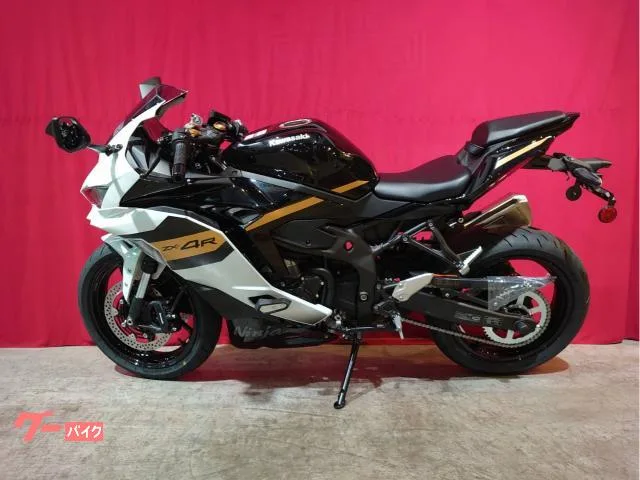 Kawasaki Ninja ZX-4R SE/ 2026 — миниатюра 3