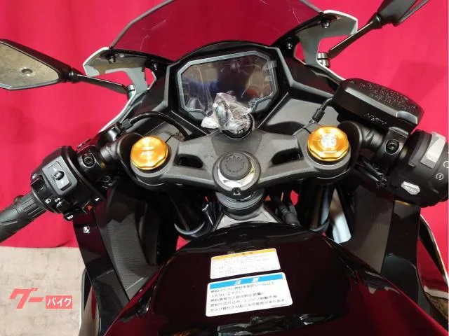 Kawasaki Ninja ZX-4R SE/ 2026 — миниатюра 4