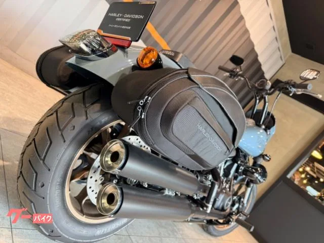 HARLEY-DAVIDSON FXLRS S 2024 — миниатюра 3