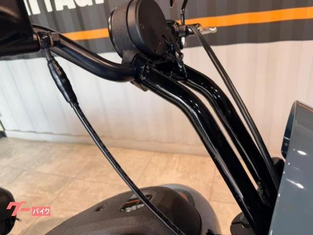 HARLEY-DAVIDSON FXLRS S 2024 — миниатюра 5