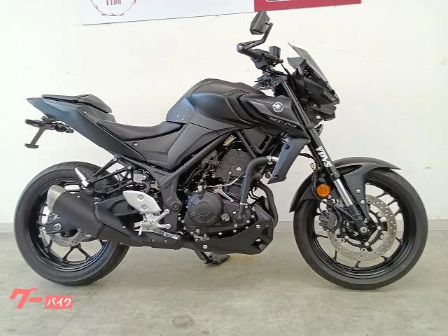 Yamaha MT-03(320cc)// 2022 — миниатюра 2