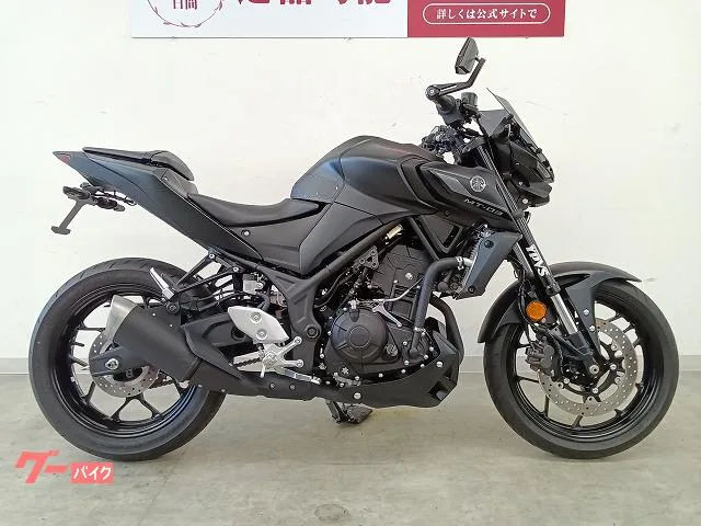 Yamaha MT-03(320cc)// 2022 — миниатюра 4