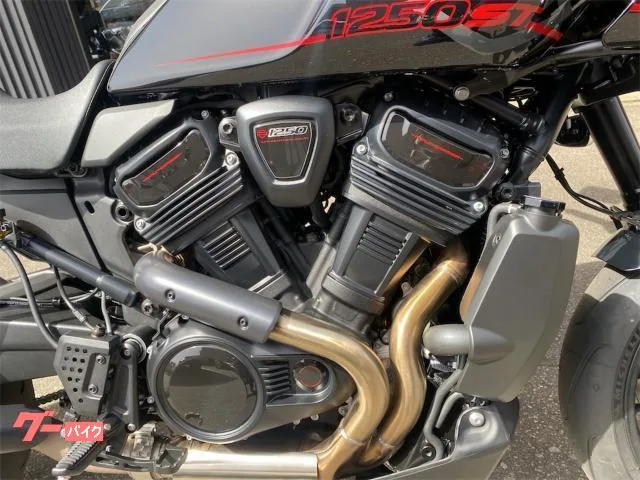 HARLEY-DAVIDSON 1250ST 2025 — миниатюра 5