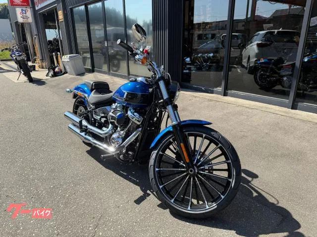 HARLEY-DAVIDSON FXBR 2025 — миниатюра 3