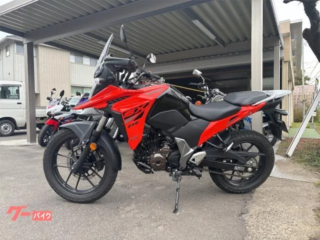 Suzuki V- 250SX 2024 — миниатюра 2