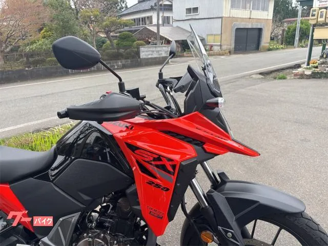Suzuki V- 250SX 2024 — миниатюра 4