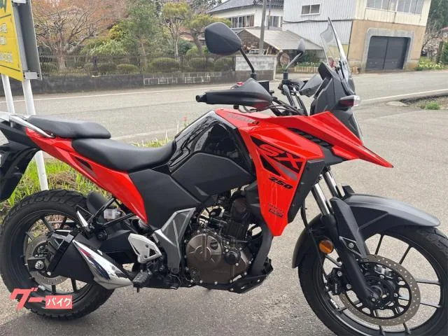 Suzuki V- 250SX 2024 — миниатюра 5