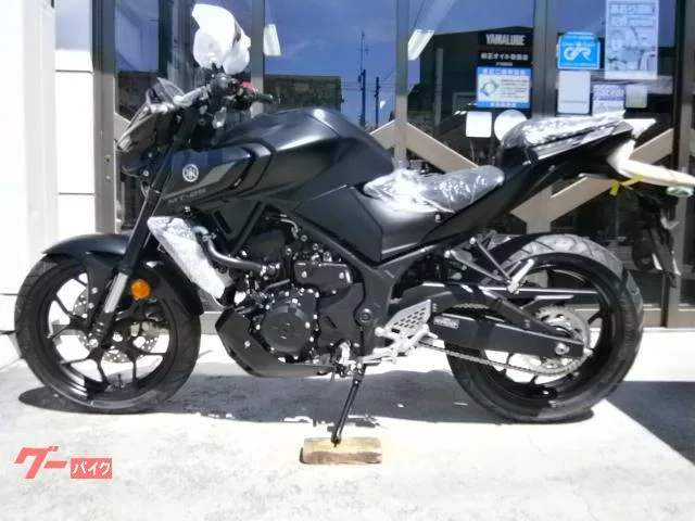 Yamaha MT-25 ABS 2023 — миниатюра 2
