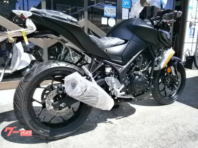 Yamaha MT-25 ABS 2023 — миниатюра 4