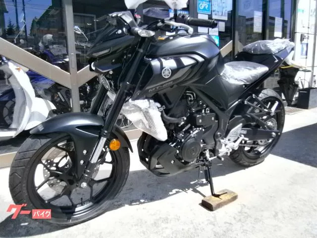 Yamaha MT-25 ABS 2023 — миниатюра 5