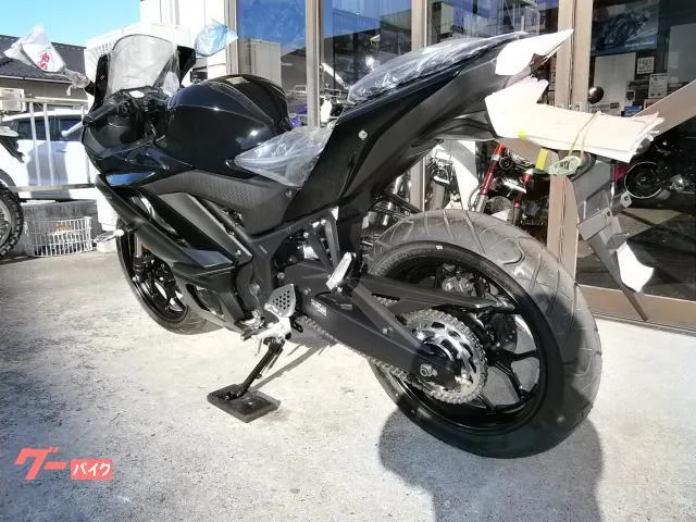 Yamaha YZF-R25 ABS 2024 2 2024 — миниатюра 3