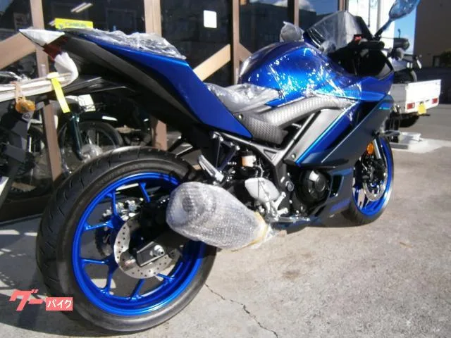 Yamaha YZF-R3 ABS 2 2024 — миниатюра 4