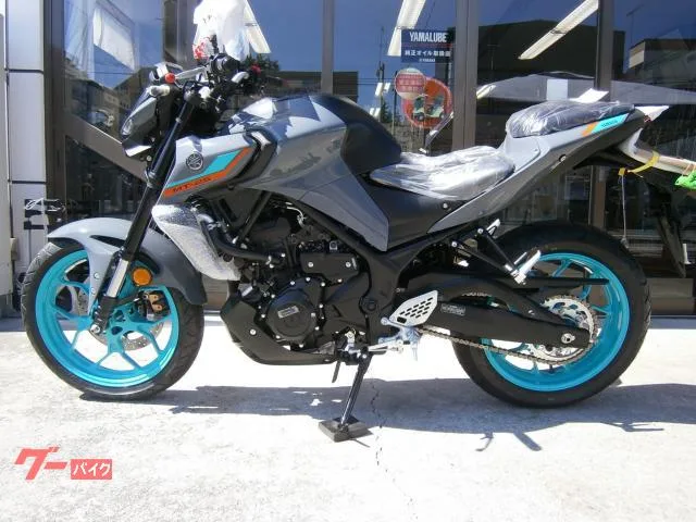 Yamaha MT-25 ABS 2 2023 — миниатюра 2